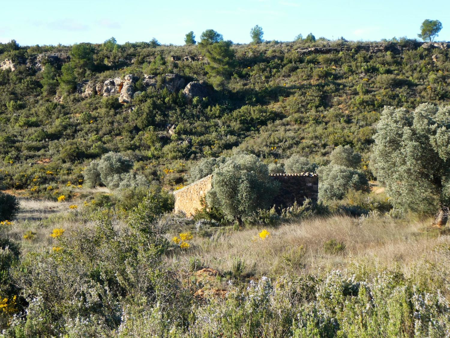  for sale country house Fabara Bajo Aragón-Caspe 4