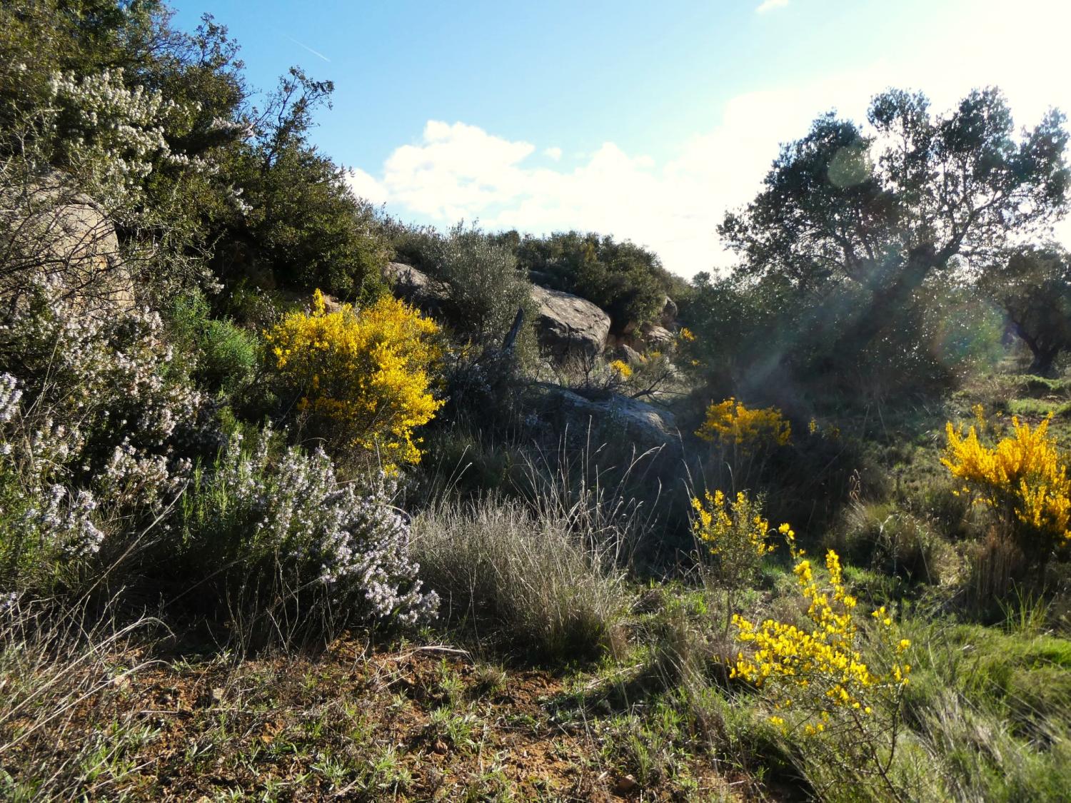  for sale country house Fabara Bajo Aragón-Caspe 21