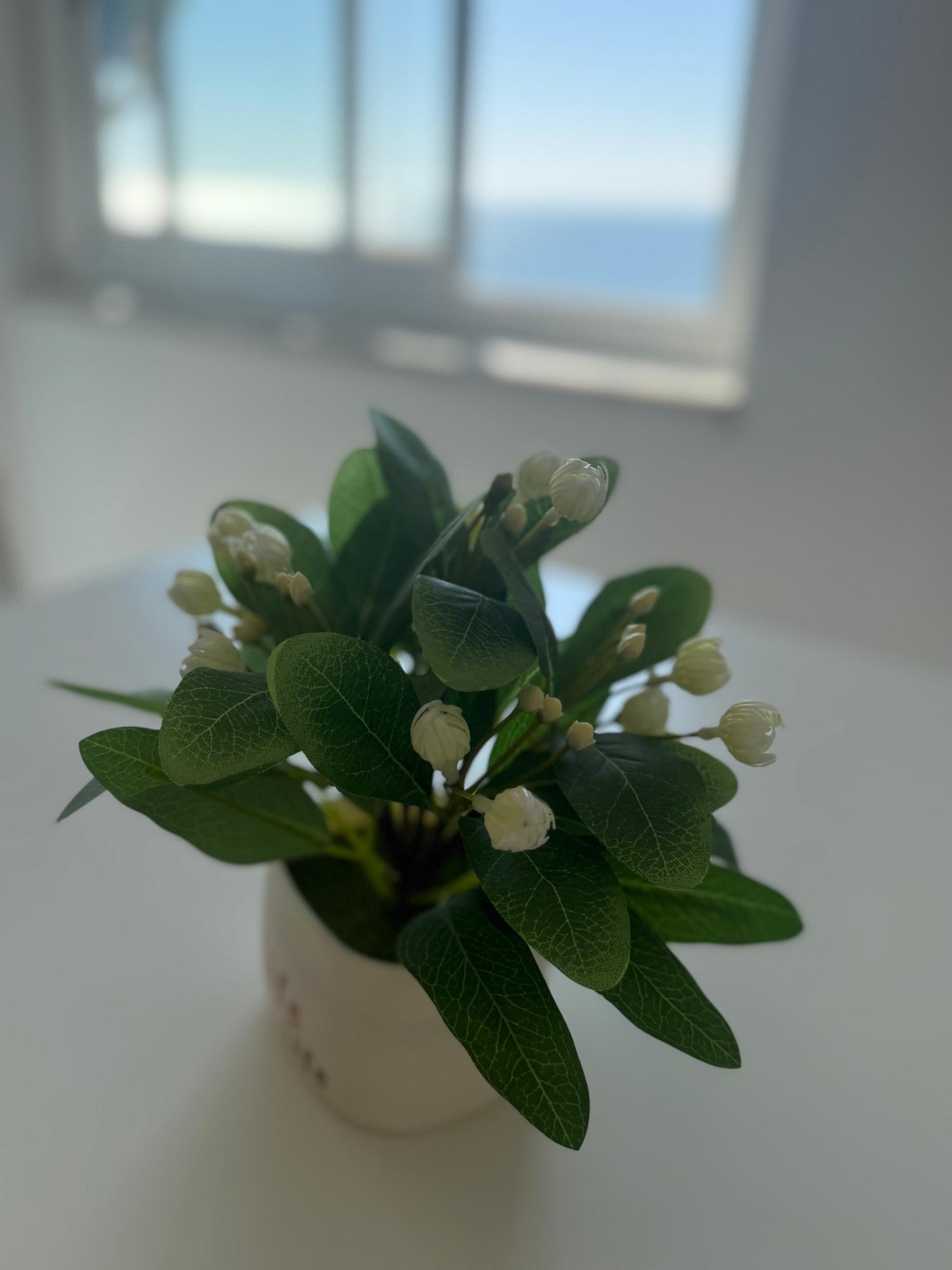  for sale apartment Santa Pola Baix Vinalopó 16