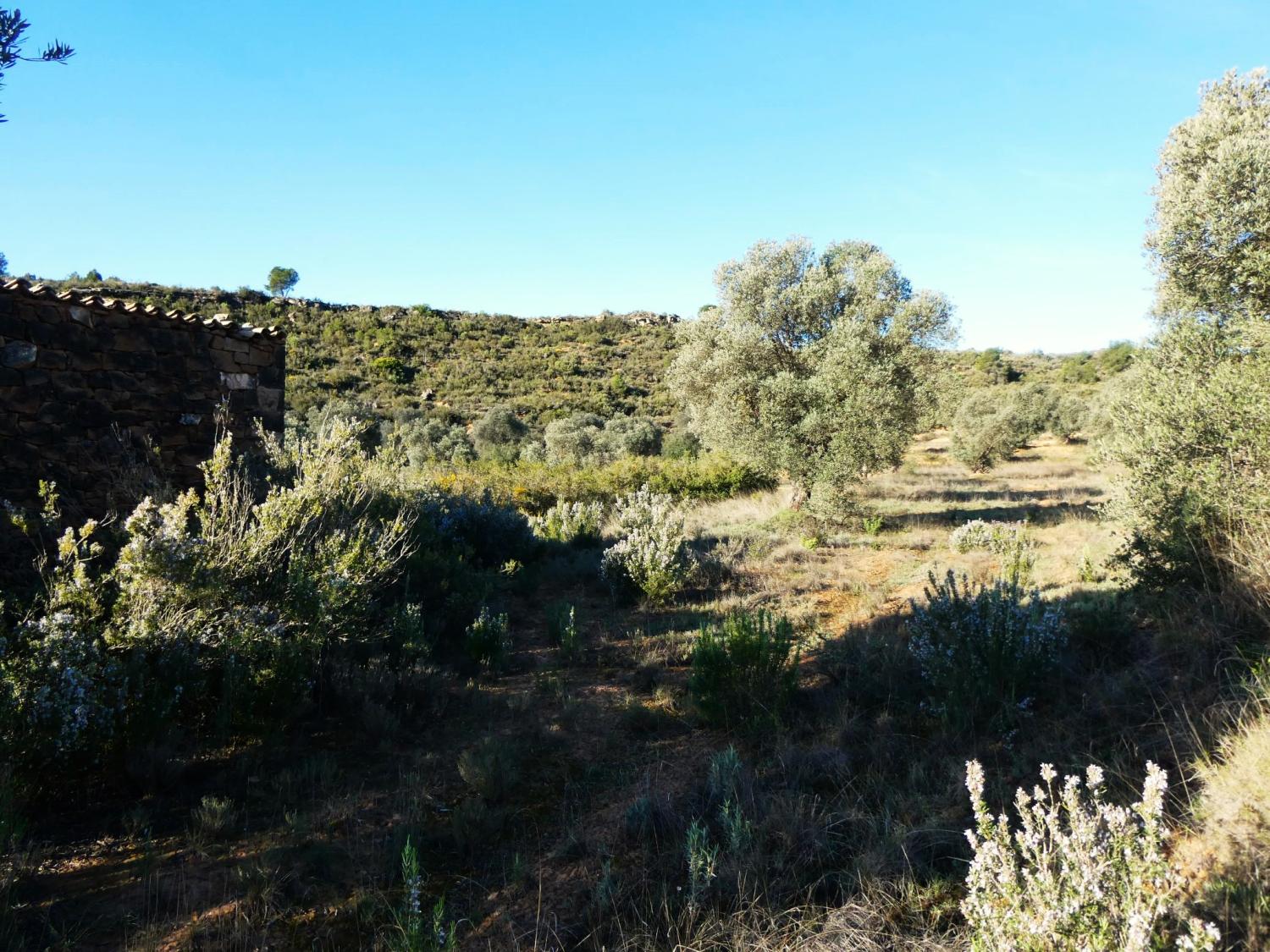  for sale country house Fabara Bajo Aragón-Caspe 6