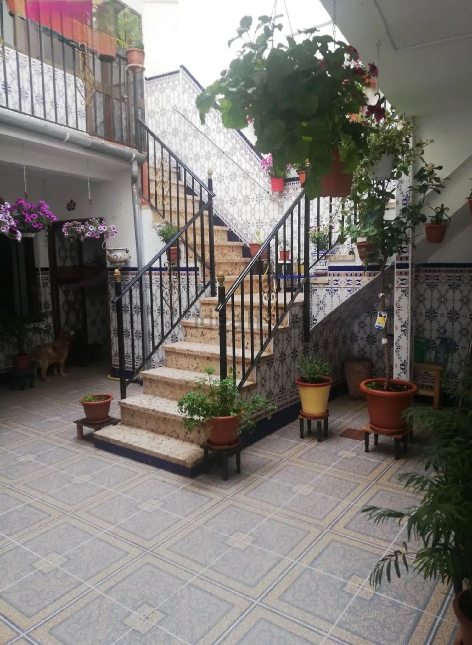  for sale house Montoro Alto Guadalquivir 2