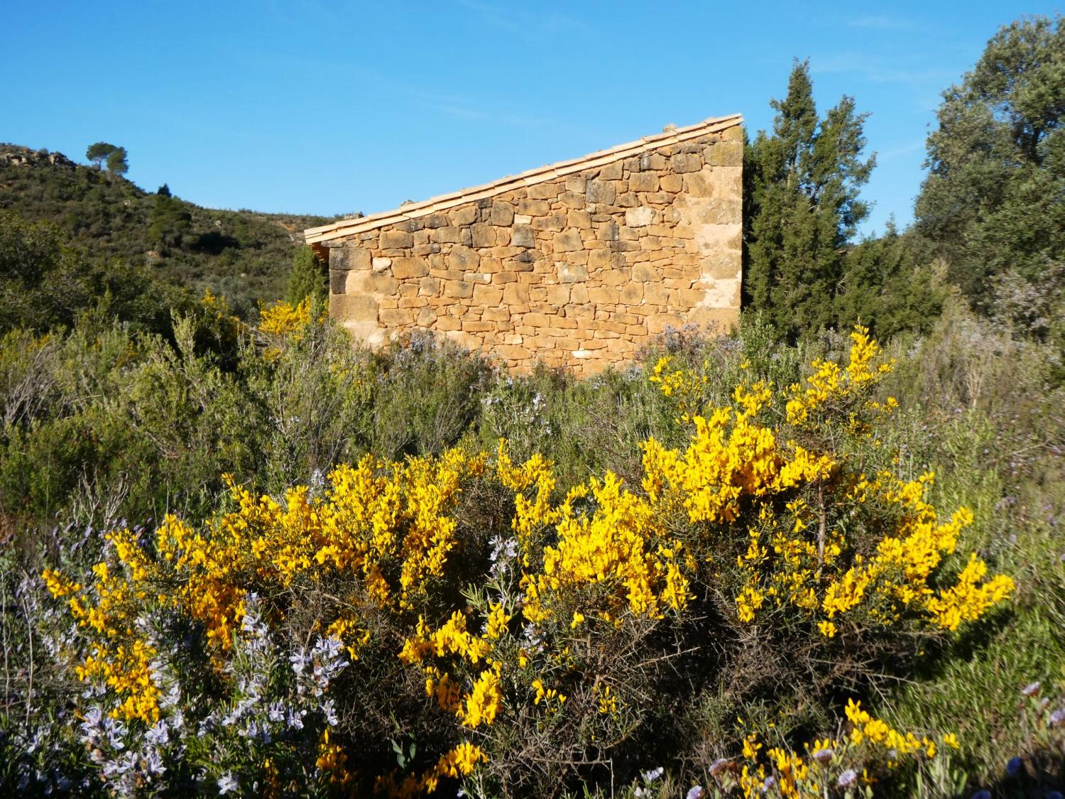  for sale country house Fabara Bajo Aragón-Caspe 5