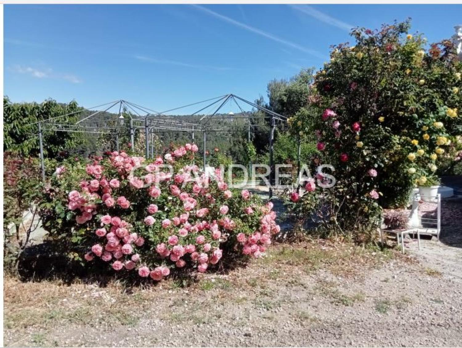  for sale villa Alcoi 03803 Alcoia 40