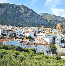 properties in Whitewashed Villages