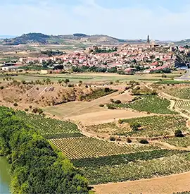 Properties in Spain’s Famous Wine Regions